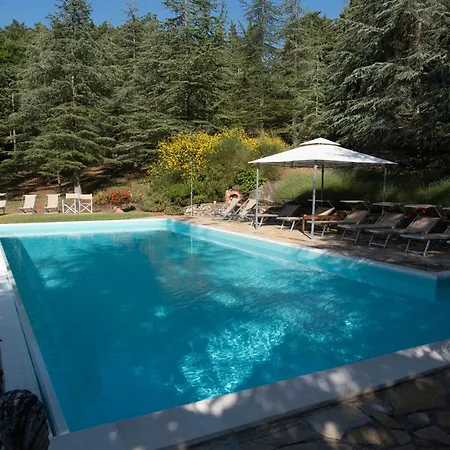 Borgo Di *