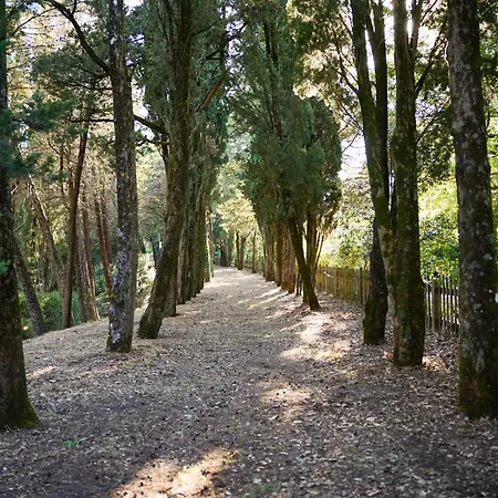 Κατάλυμα σε φάρμα Borgo Di *