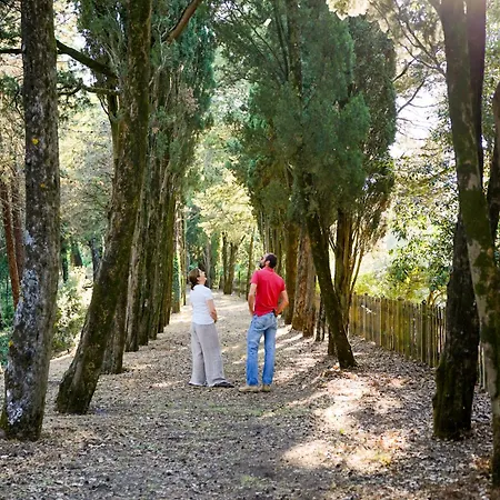 Borgo Di Camporsevoli